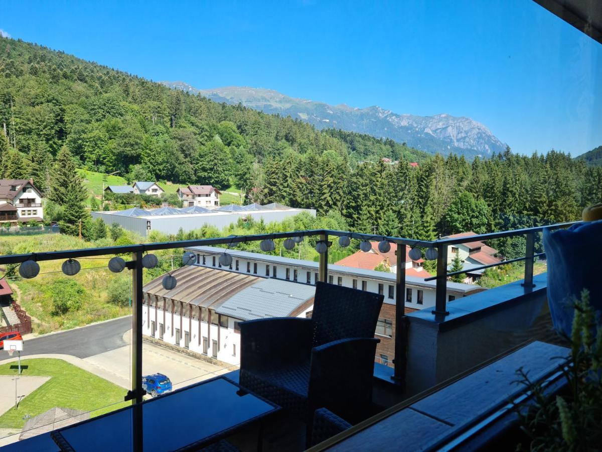 Apartment Vintage Sinaia