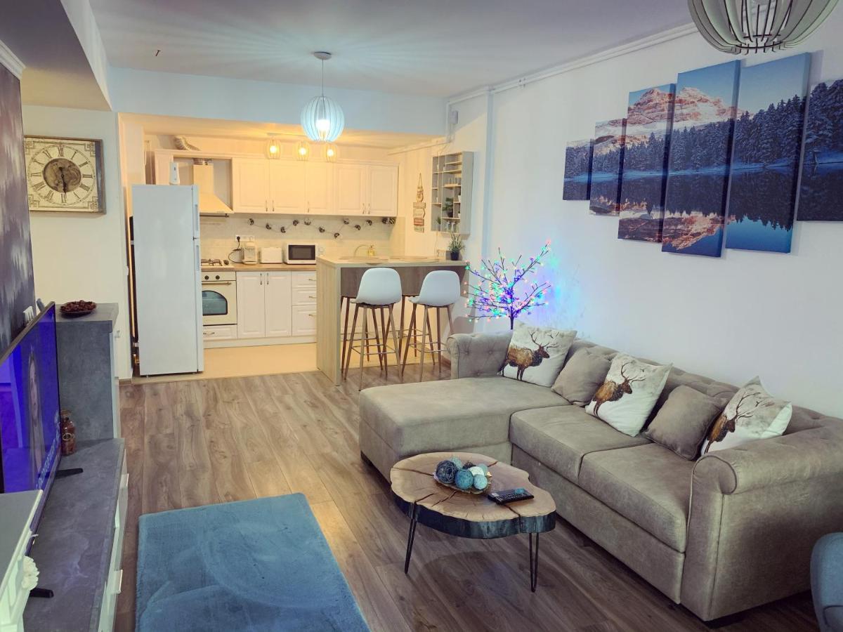 Vintage Apartment Sinaia